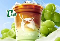 瑞幸咖啡加盟费需要多少钱，瑞幸咖啡是加盟店还是直营店